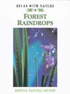 Forest Raindrops
